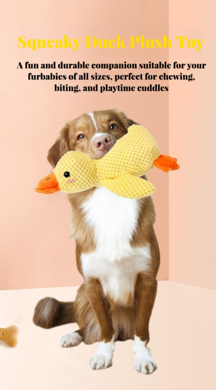Squeaky Duck Plush Toy – A fun and durable companion for your furbaby, perfect for chewing, biting, and playtime cuddles