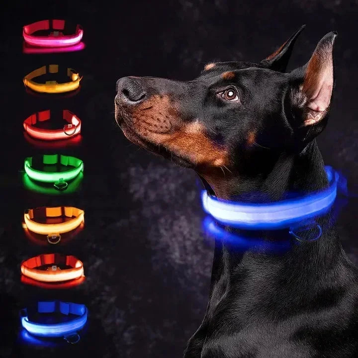 Rechargeable LED Glowing Dog Collar – Adjustable Flashing Luminous Light Harness for Small Dogs, Night Safety & Anti-Lost Pet Accessory