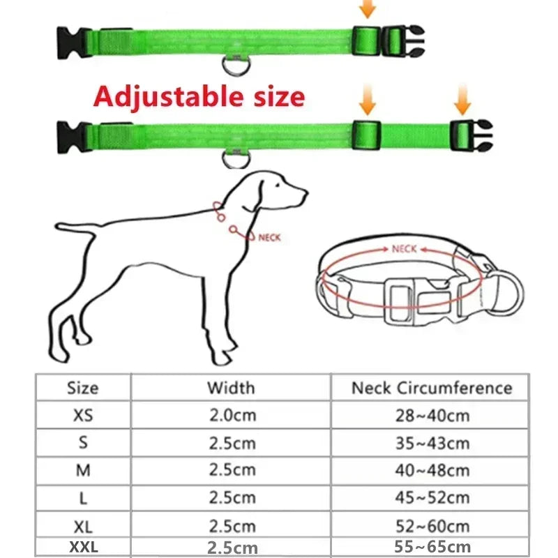 Rechargeable LED Glowing Dog Collar – Adjustable Flashing Luminous Light Harness for Small Dogs, Night Safety & Anti-Lost Pet Accessory
