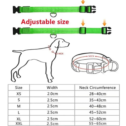 Rechargeable LED Glowing Dog Collar – Adjustable Flashing Luminous Light Harness for Small Dogs, Night Safety & Anti-Lost Pet Accessory
