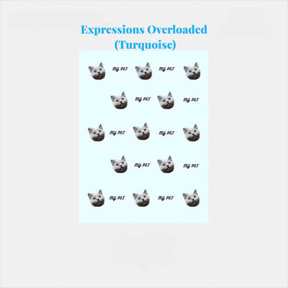 ✨ Personalized “One & Only” Blanket ✨ — for pets, BFFs, or your own cozy vibes