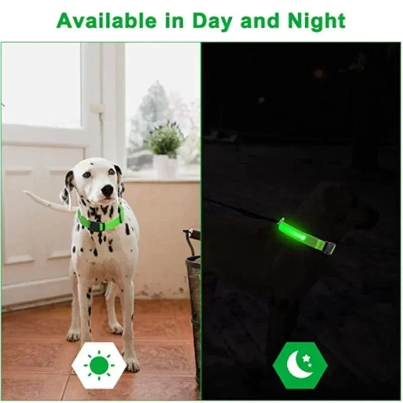 Rechargeable LED Glowing Dog Collar – Adjustable Flashing Luminous Light Harness for Small Dogs, Night Safety & Anti-Lost Pet Accessory