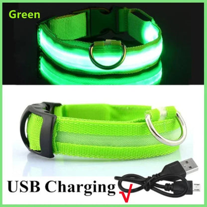 Rechargeable LED Glowing Dog Collar – Adjustable Flashing Luminous Light Harness for Small Dogs, Night Safety & Anti-Lost Pet Accessory