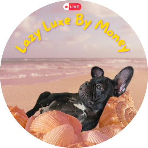 Lazy Luxe By Money