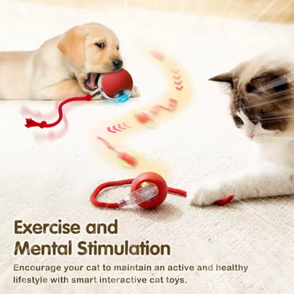 Rechargeable Smart Cat Interactive Ball – Automatic Rolling Toy with Tail, Intelligent Motion Toy for Active Cats and Kittens